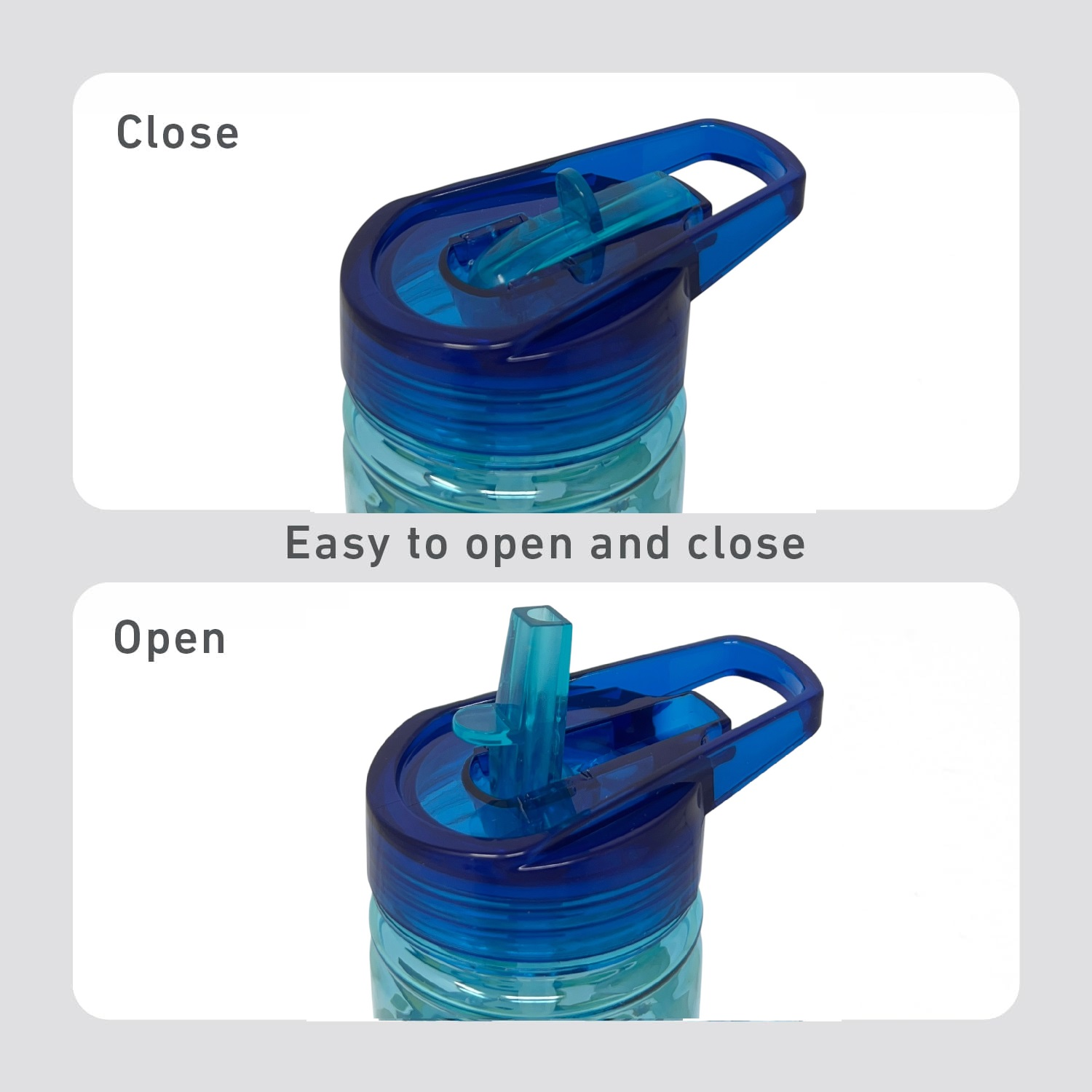 Borraccia Ecozen Bluey e Bingo in Tritan Bottiglia con Beccuccio Ripiegabile 580 Ml -83206
