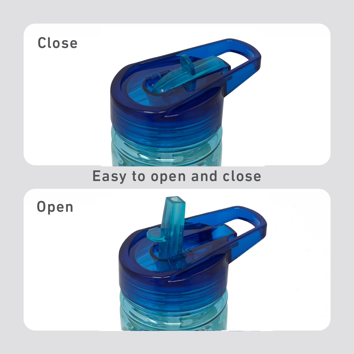Borraccia Ecozen Bluey e Bingo in Tritan Bottiglia con Beccuccio Ripiegabile 580 Ml -83206