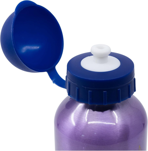 Set Pranzo Frozen DISNEY 2 Pezzi Borraccia in Alluminio e Portamerenda con Posate - St74263