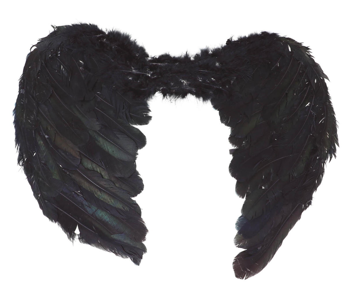 Ali Piumate Nere 60 X 40 CM Accessori Travestimento Costume Carnevale Halloween - 16266