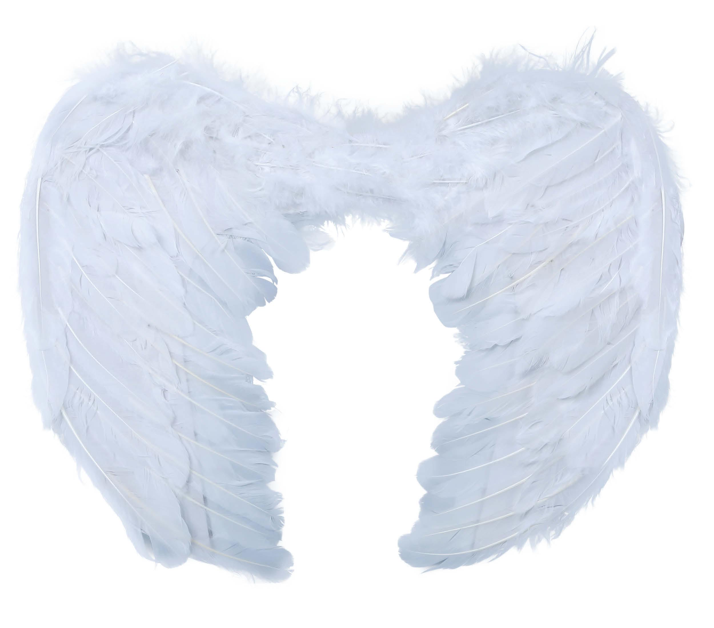 Ali Piumate Bianche 60 X 40 CM Accessori Travestimento Costume Carnevale Halloween - 16885