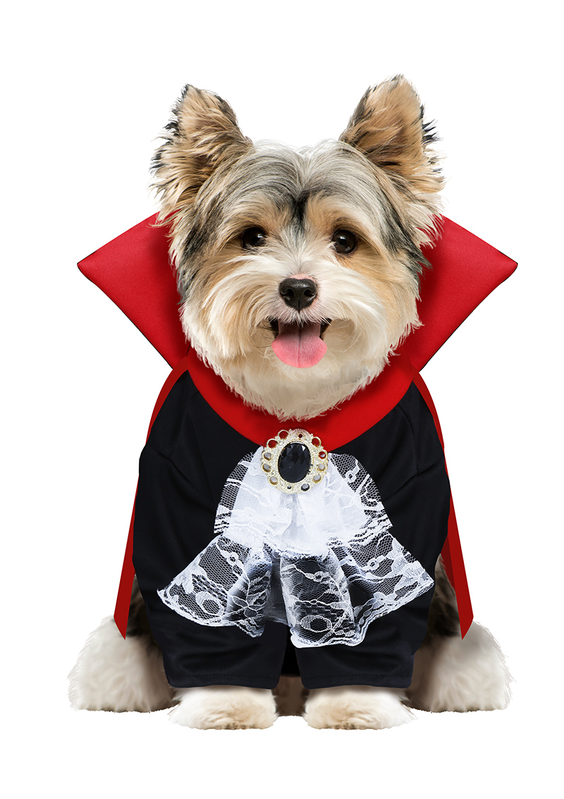 Travestimento da Vampiro per Cani Ispirato a Nosferatu per Taglia Piccola e Media Tuta e Mantello - 7690