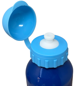 Borraccia in Alluminio Spidey e i Suoi Fantastici Amici MARVEL con Beccuccio e Tappo 500 Ml - Sp50096/c
