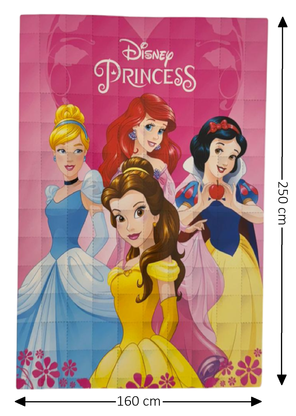 Trapunta Principesse DISNEY Piumone Invernale 350 Gsm Letto Singolo 160x250 CM - Je12129gtb