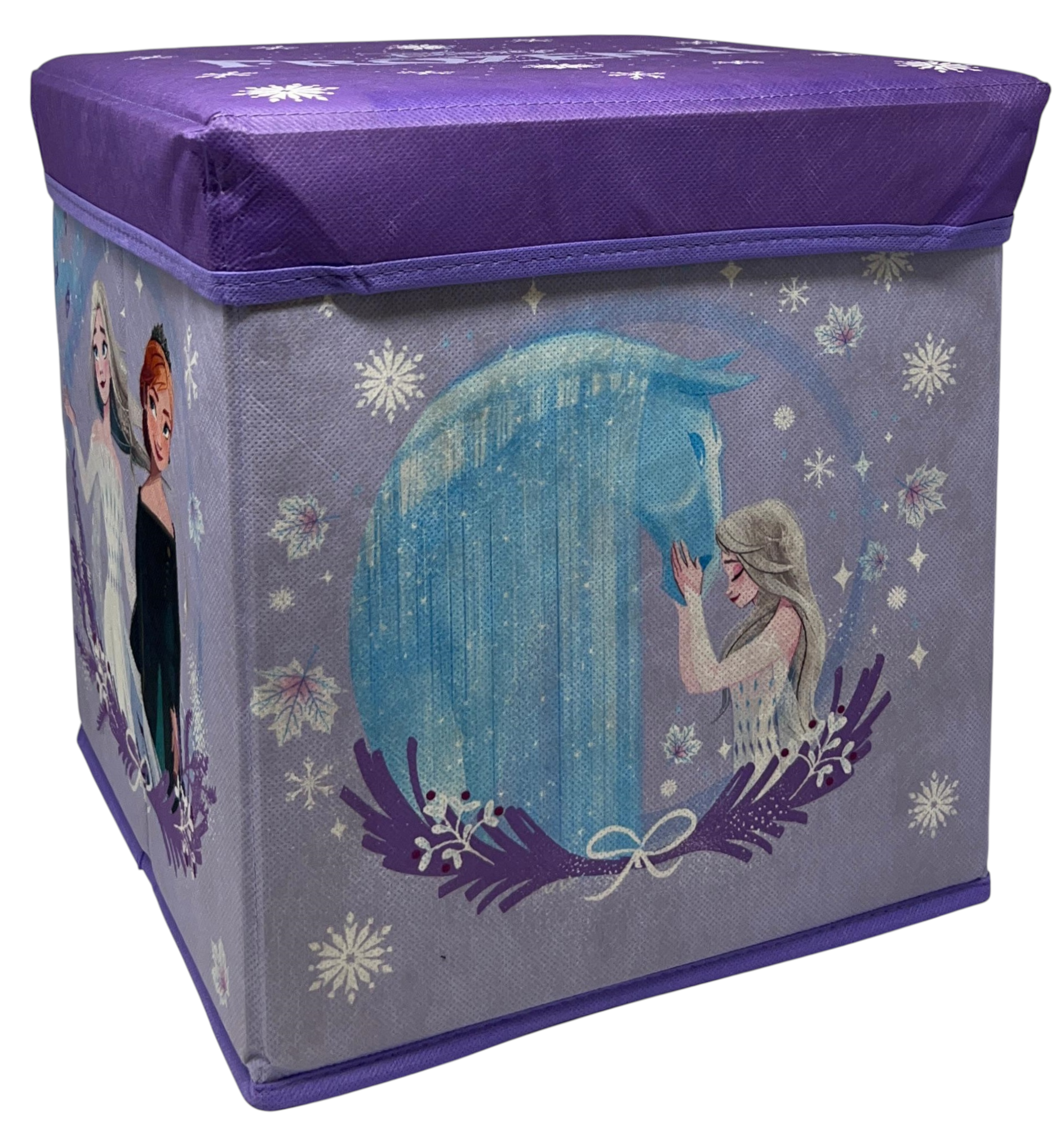 Pouf Contenitore Frozen DISNEY Multifunzione Porta Oggetti per Sedersi 30 CM - Je12803ad