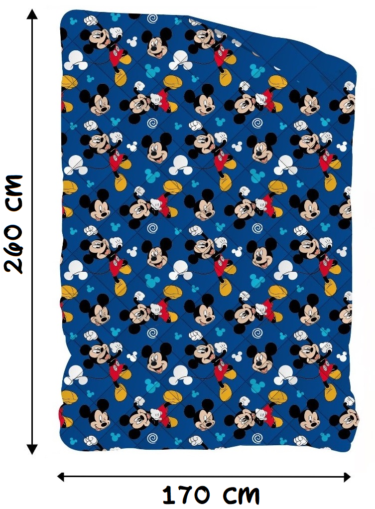 Trapunta Invernale Topolino DISNEY Piumone 300 Gsm Letto Singolo 170x260 CM - Mic1464