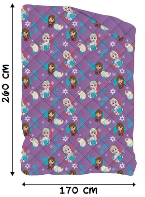 Trapunta Invernale Frozen DISNEY Piumone 300 Gsm Letto Singolo 170x260 CM - Fro1469