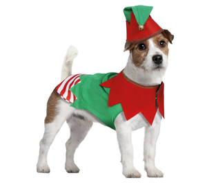 Travestimento da Elfo per Cani Pettorina e Cappellino con Campanellina - 4501