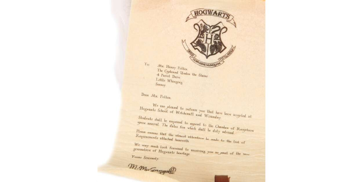 Peluche Civetta Edvige con Lettera Harry Potter Morbido Pupazzo 18 CM - 760022831