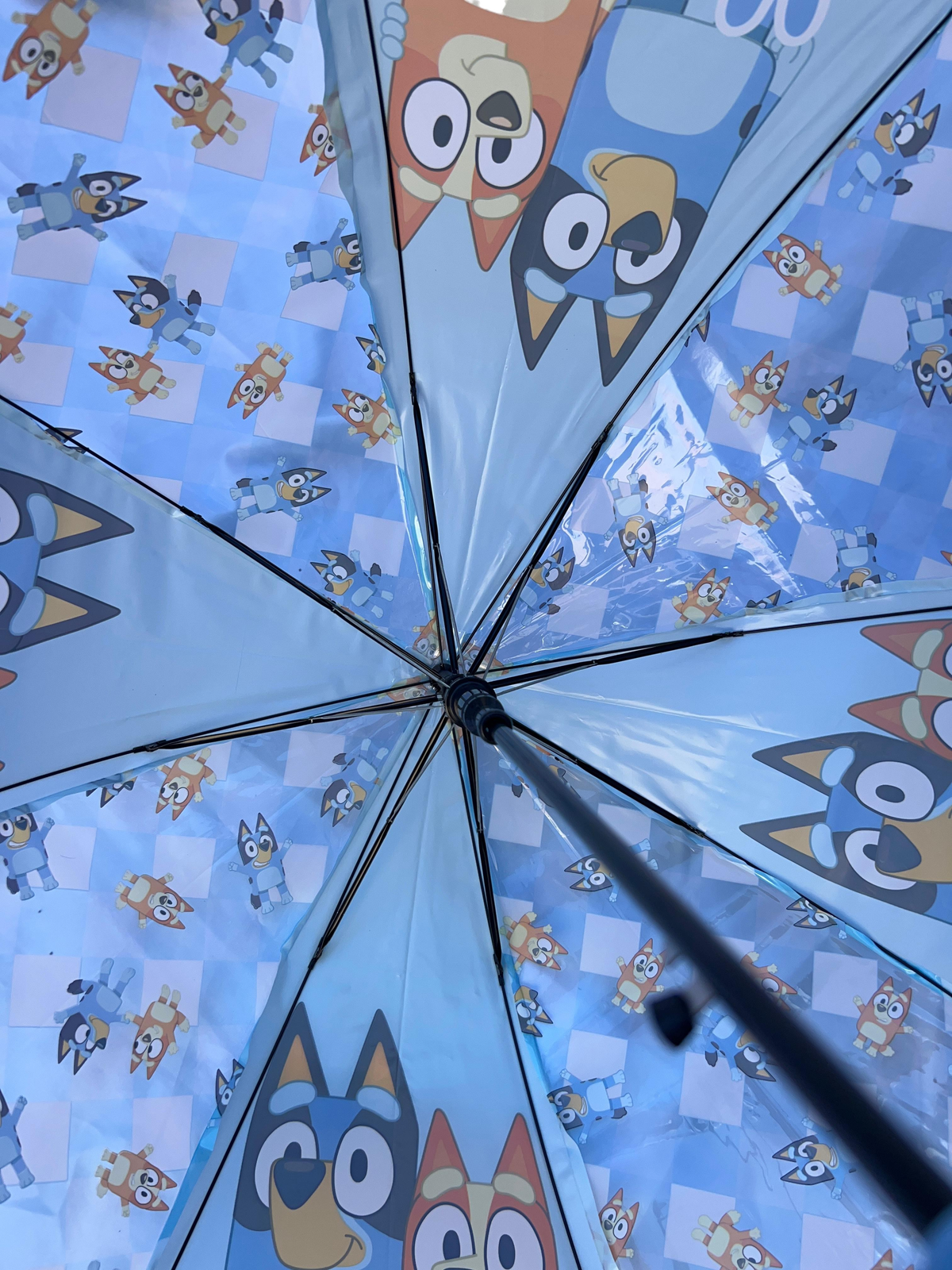 Ombrello a Cupola Bluey Apertura Automatica Manico Ergonomico Accessorio per la Pioggia Bambini