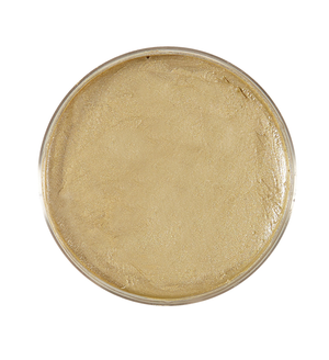 Fondotinta Cremoso Oro in Vaschetta da 25 Gr. Accessorio per Make-Up Trucco Travestimenti Cosplay - 02392