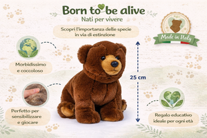 Peluche Orso Bruno CM 25 Pupazzo per Bambini Lelly - 650003