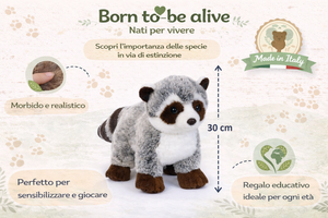 Peluche Procione CM 30 Pupazzo per Bambini Lelly - 650005