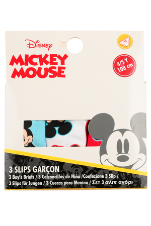 Mutandine Set 3 Pezzi Topolino DISNEY Slip in Cotone in Scatola 3/6 Anni- Ez30062
