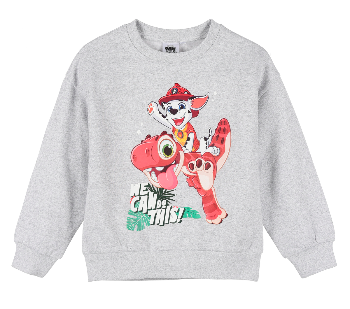 Maglione Paw Patrol Felpa per Bambini 3/6 Anni - Zh10106
