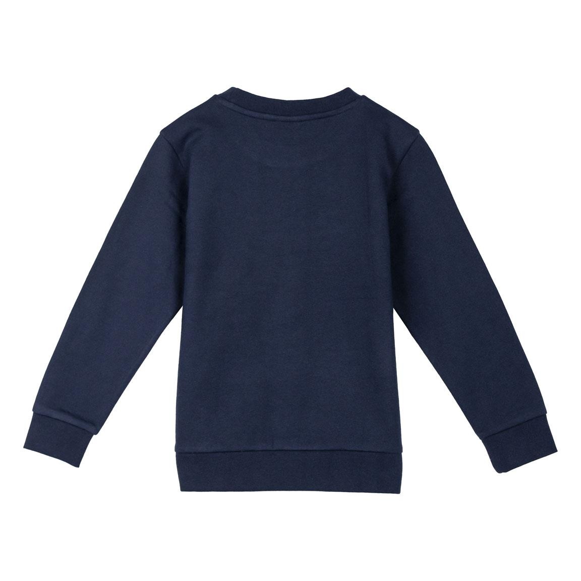 Felpa Avengers MARVEL Bambino in Misto Cotone Garzato Maglia Felpata - 2270