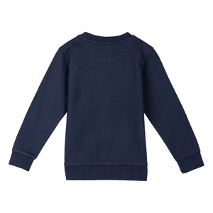 Felpa Avengers MARVEL Bambino in Misto Cotone Garzato Maglia Felpata - 2270