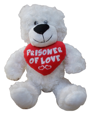Peluche Orso con Cuore Pupazzo CM 30 - 2873p