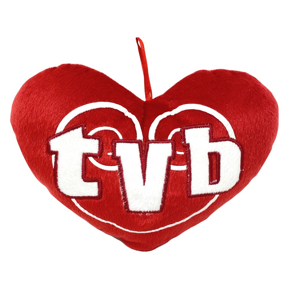 Peluche a Forma di Cuore "ti Voglio Bene" Cuscino Appendibile Idea Regalo Festa Degli Innamorati