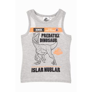 Canotta Jurassic World Maglietta Bambino Sun City - We1207grigio