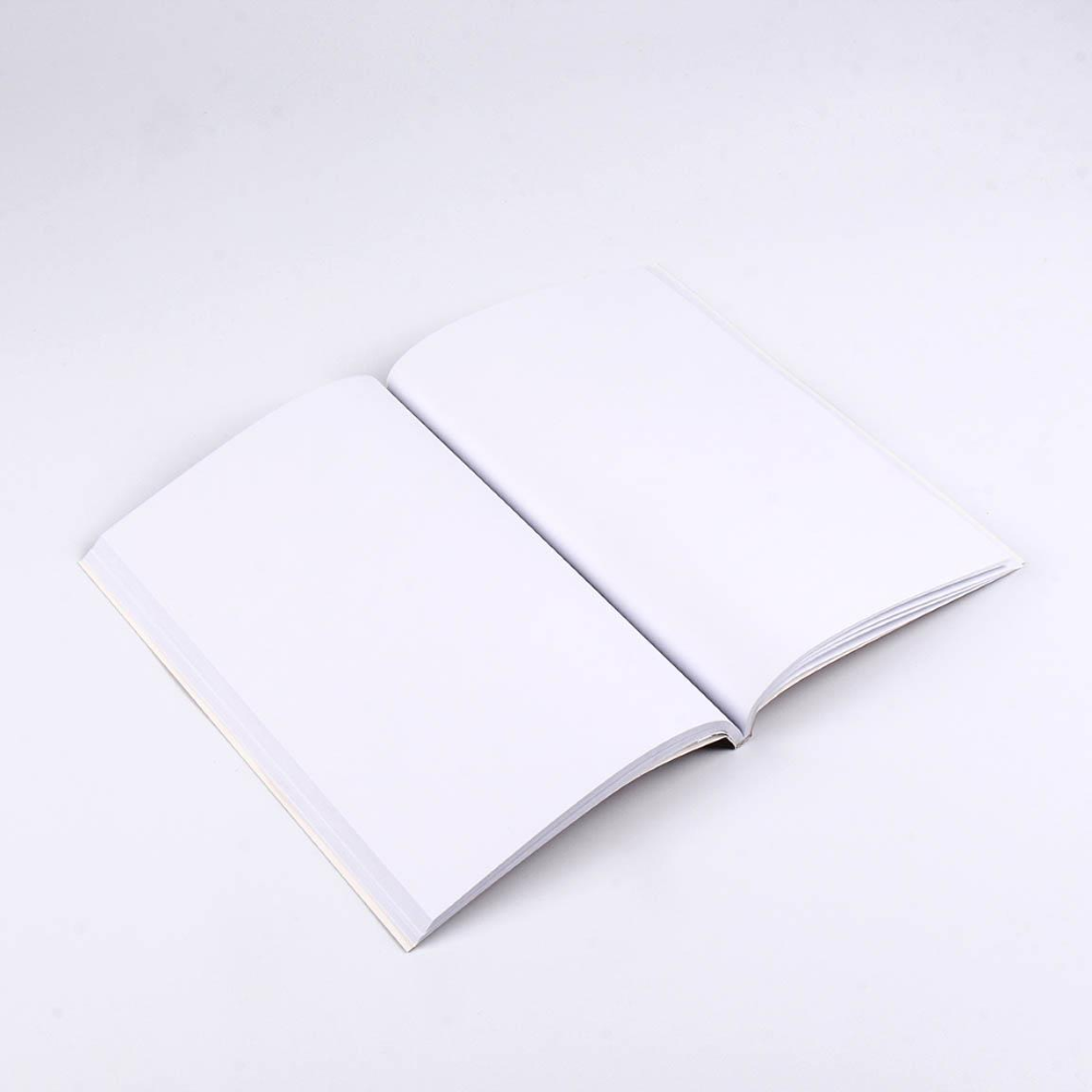 Set Block Notes + Penna Harry Potter Grifondoro Diario Appunti Confezione Regalo - 0461