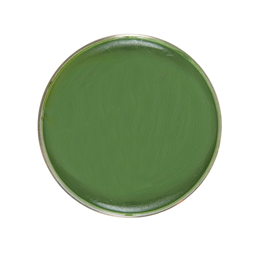 Make-Up Verde in Vaschetta 25 G Trucco Accessori Travestimento Carnevale Halloween - 02396