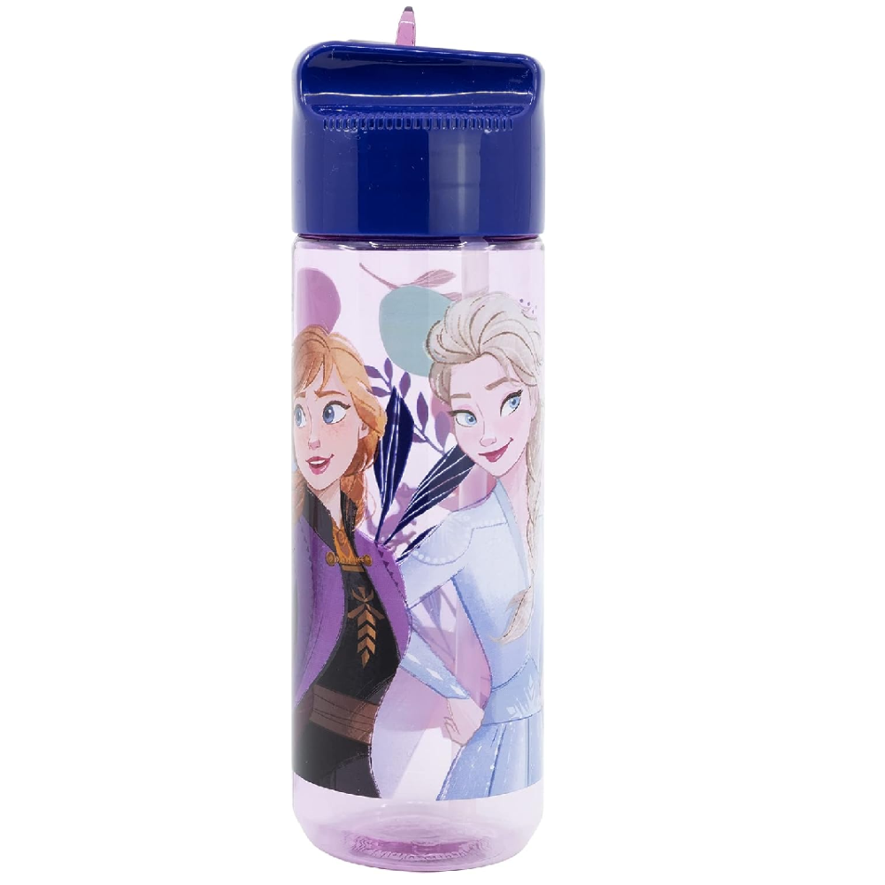 Borraccia Frozen DISNEY in Tritan Ecozen con Beccuccio Ripiegabile Ml. 540 - 74223