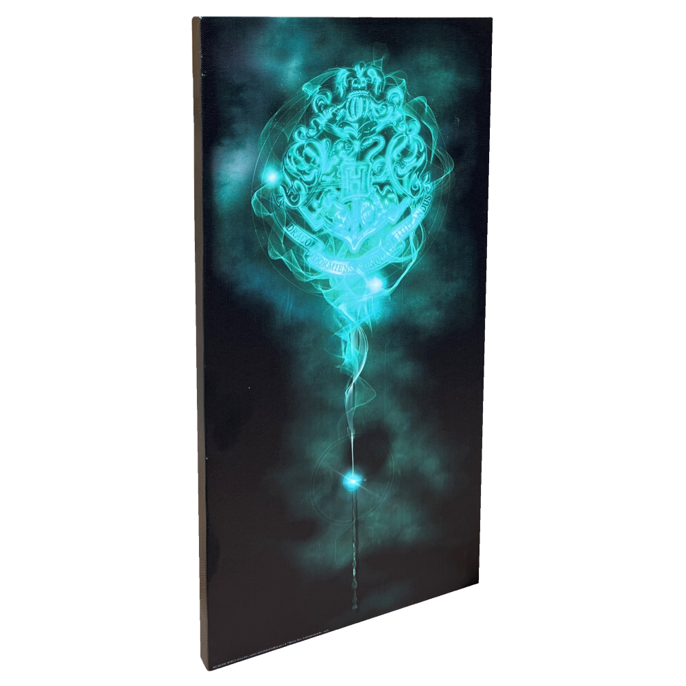 Tela Harry Potter Hogwarts Quadro con Luci a LED a Batterie 40 CM - 23898