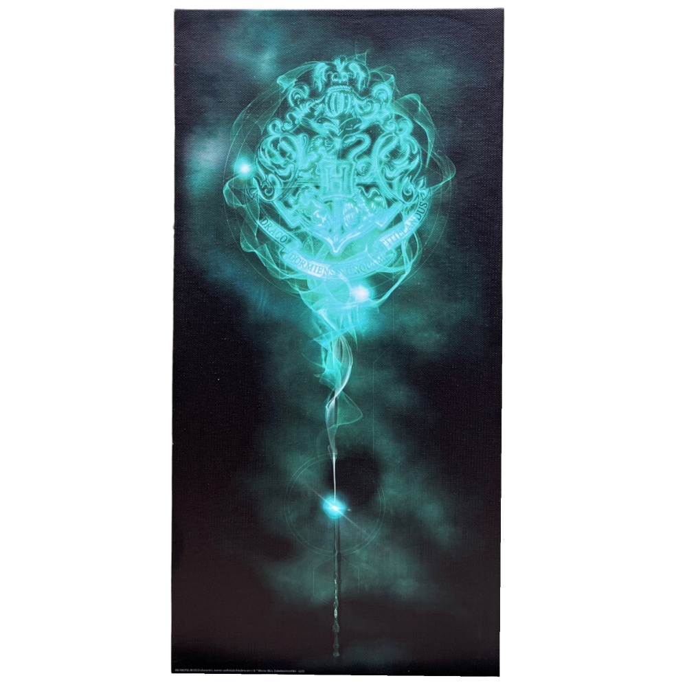 Tela Harry Potter Hogwarts Quadro con Luci a LED a Batterie 40 CM - 23898