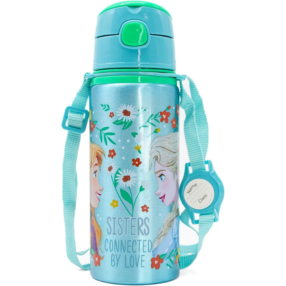 Borraccia in Alluminio con Cannuccia Frozen DISNEY 600 Ml Apertura Automatica - Fr50013