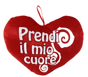Peluche a Forma di Cuore "prendi il Mio Cuore" Cuscino Appendibile Idea Regalo Festa Degli Innamorati