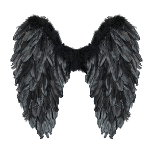 Ali Piumate Nere 50 X 50 CM Accessori Travestimento Costume Carnevale Halloween - 12190