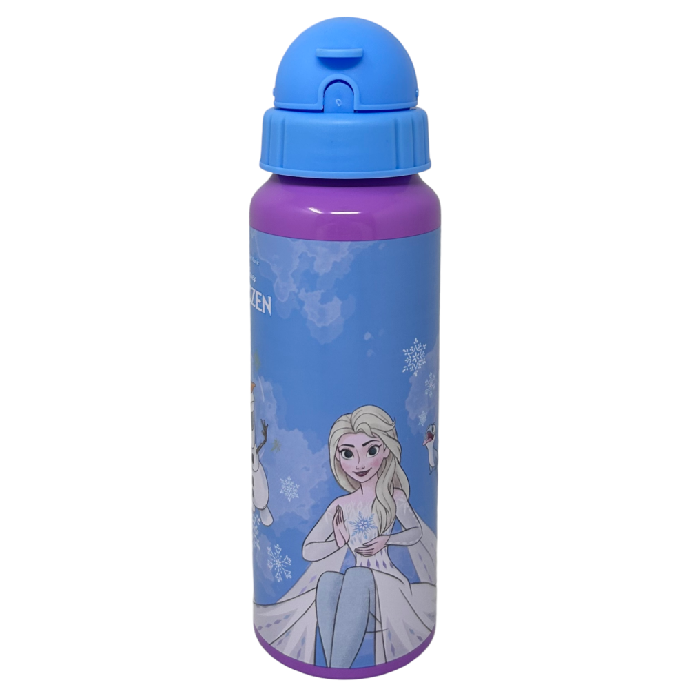 Borraccia in Alluminio con Cannuccia Frozen DISNEY Bottiglia per Bambini 550 Ml - D09504mc/c