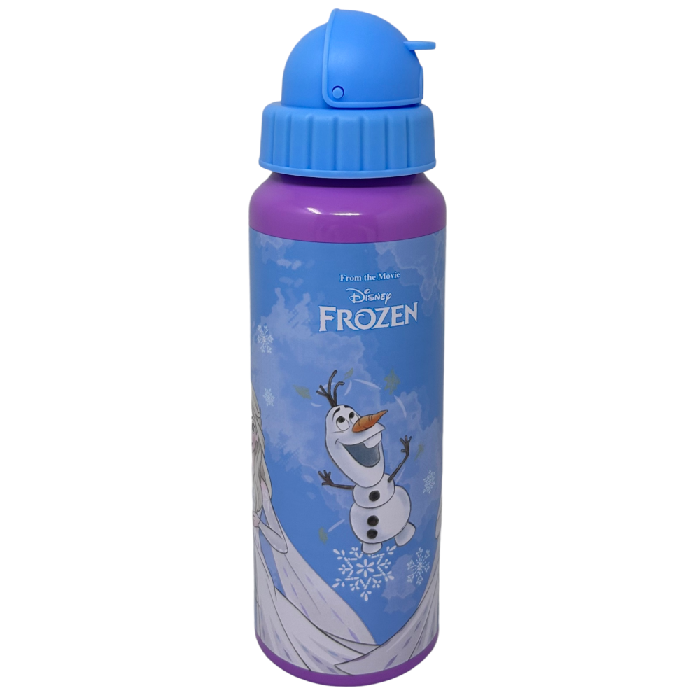 Borraccia in Alluminio con Cannuccia Frozen DISNEY Bottiglia per Bambini 550 Ml - D09504mc/c