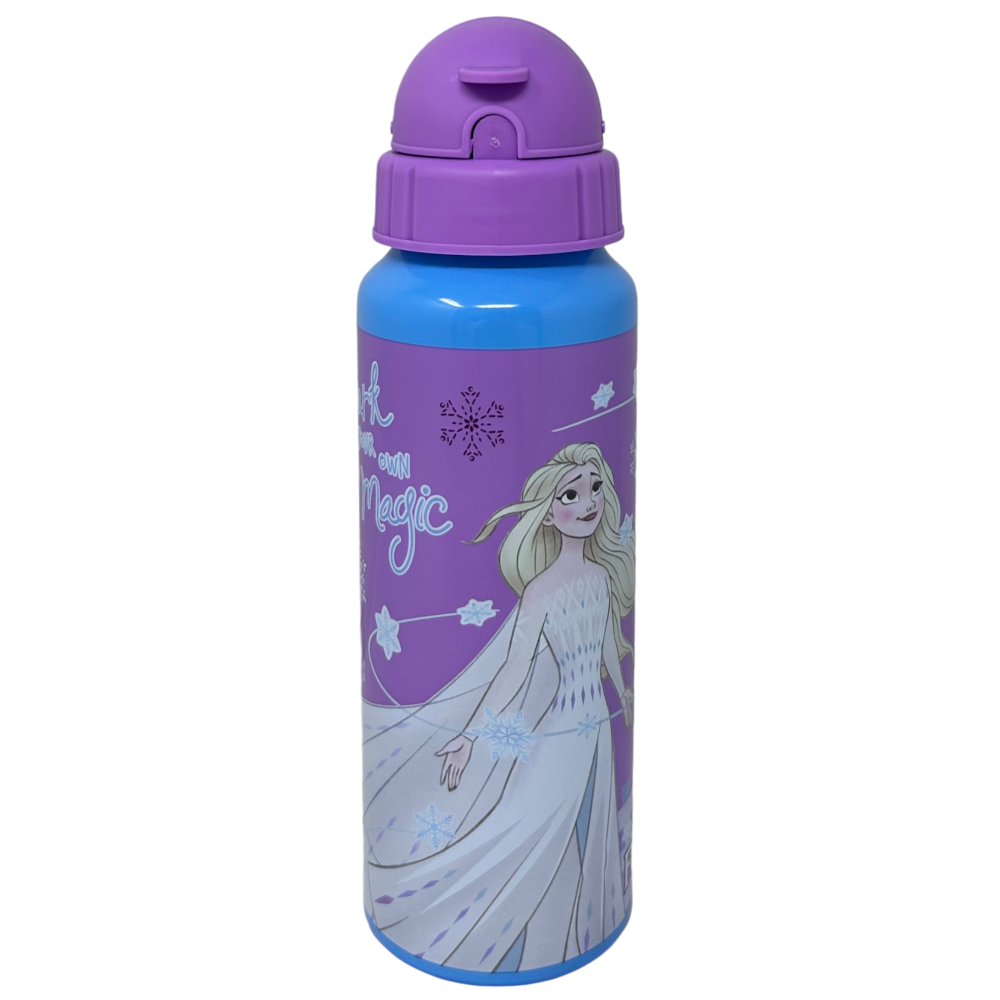 Borraccia in Alluminio con Cannuccia Frozen DISNEY Bottiglia per Bambini 550 Ml - D09504mc/v