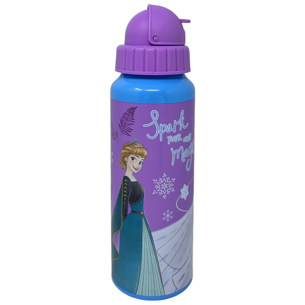 Borraccia in Alluminio con Cannuccia Frozen DISNEY Bottiglia per Bambini 550 Ml - D09504mc/v