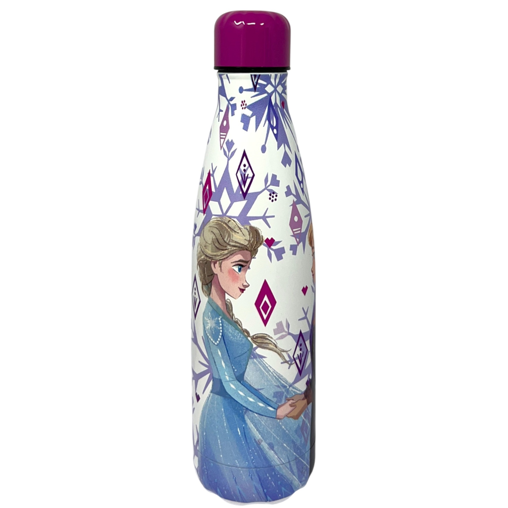 Borraccia Termica Frozen Ii DISNEY in Acciaio Inox Bottiglia con Tappo Svitabile 500 Ml - D11289te/b