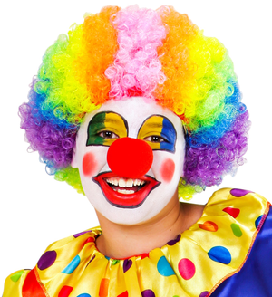 Set Trucco Clown Accessori Abito Vestito Carnevale Halloween Bambino - 02404