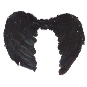 Ali Piumate Nere 60 X 40 CM Accessori Travestimento Costume Carnevale Halloween - 16266