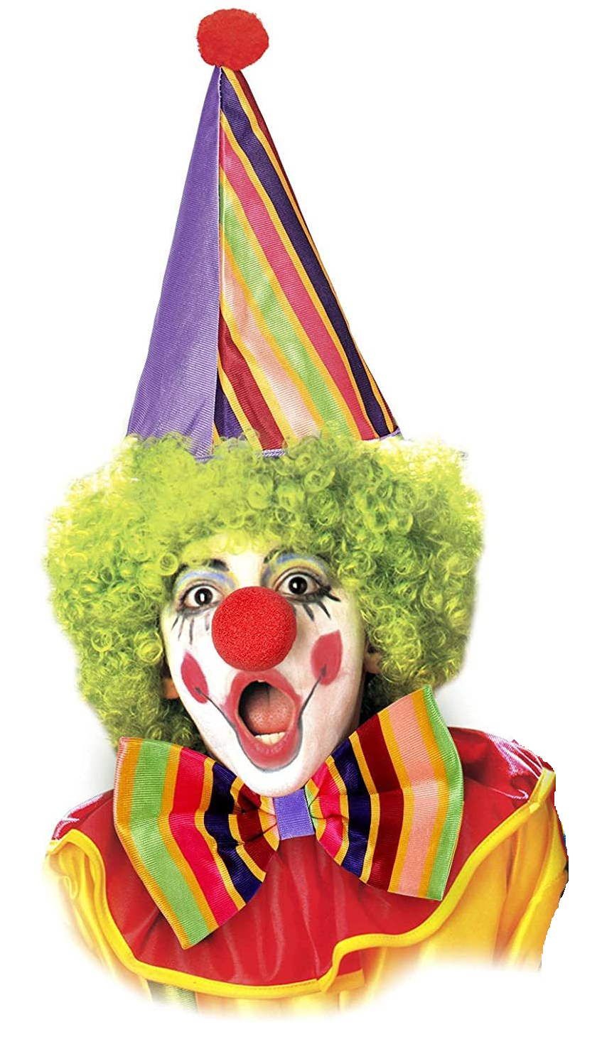Set Clown Cappello Farfallino Naso Accessori Vestito Travestimento Carnevale Bambino