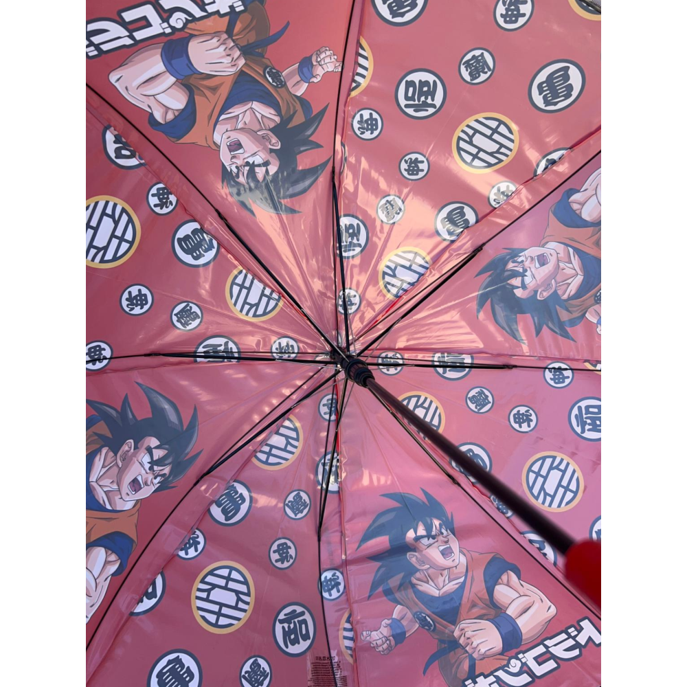 Ombrello Dragon Ball Apertura Automatica Manico Ergonomico Accessorio per la Pioggia Bambini