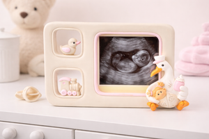 Bomboniera Portafoto Ilary Queen Femminile Nascita Neonata Cicongna in Resina Cm. 13 - Iq5052