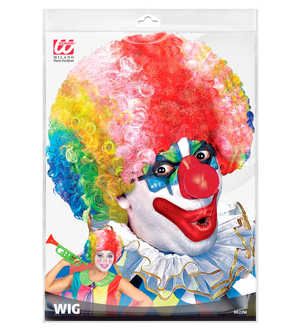 Parrucca Clown Pagliaccio Riccia Accessori per Abito Vestito Travestimento Carnevale Bambino