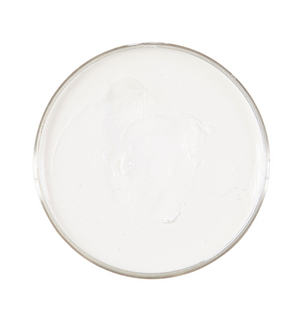 Trucco Make Up Bianco 25g. - Accessori Abito Vestito Carnevale Halloween Bambina - 02387