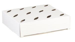 Contenitore Portaconi + 12 Bomboniere Coni Dumbo DISNEY Rosa - 68158+16921+68153