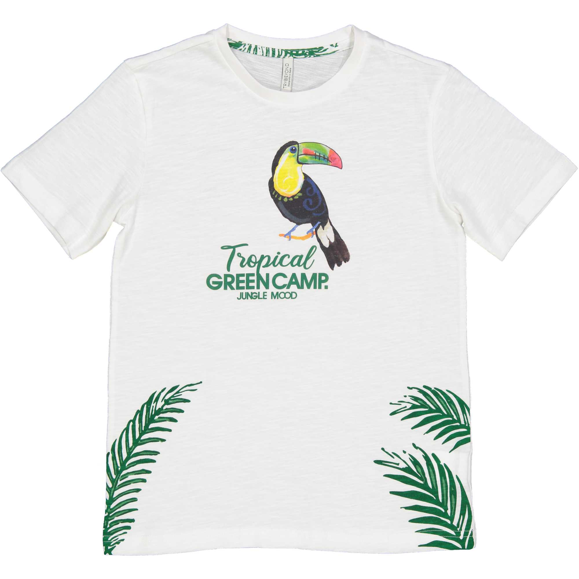 T-Shirt Maglietta Bambino Ragazzo Birba Taglie 8/12 Anni - 24470.00