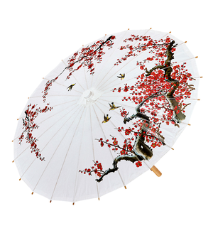 Vestito Carnenale + Accessori Principessa Asiatica Kimono Parasole Parrucca Travestimento (11/1
