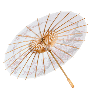 Vestito Carnenale + Accessori Principessa Asiatica Kimono Parasole Parrucca Travestimento (11/1