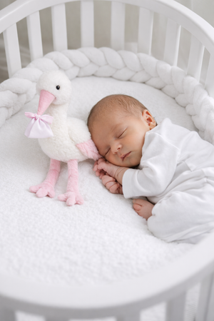 Peluche Cicogna Rosa Neonata Cm.27 Pupazzo - 786001/2