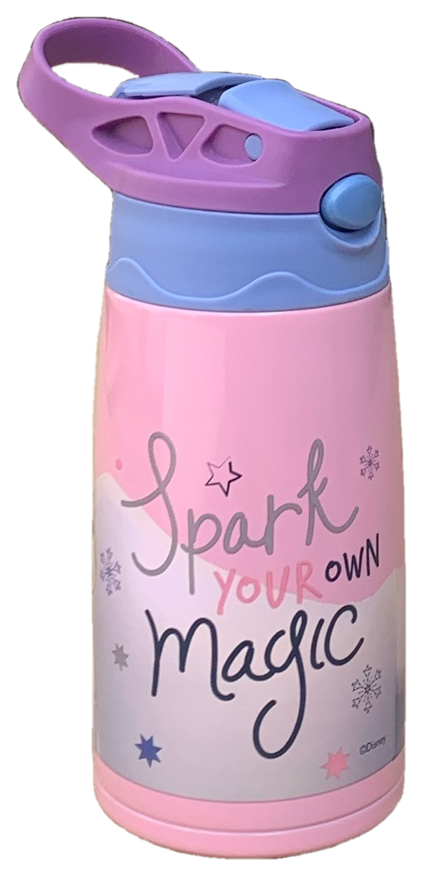 Borraccia Termica con Beccuccio Frozen DISNEY 450 Ml Apertura Automatica - Fr22080
